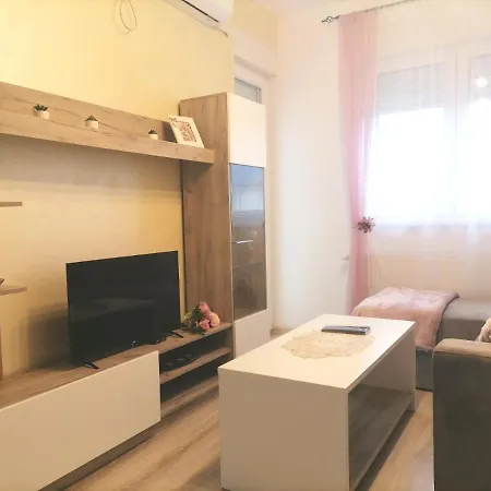 Apartment Lena Banja Koviljaca