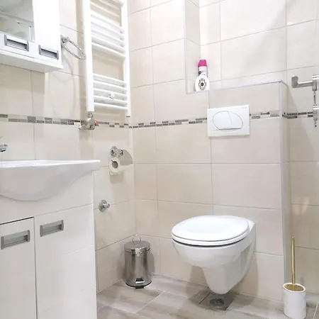 Lena Apartment Banja Koviljaca